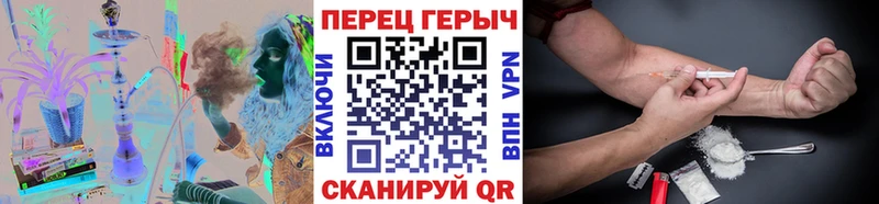ГЕРОИН хмурый  Пугачёв 