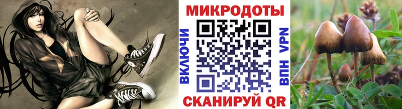 Галлюциногенные грибы MAGIC MUSHROOMS  купить наркоту  Пугачёв 