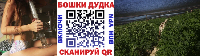 купить  цена  Пугачёв  МАРИХУАНА гибрид 